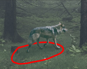 Screen Shot 2016-08-18 at 12.35.14 PM