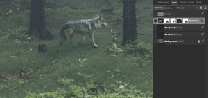 Screen Shot 2016-08-18 at 12.50.08 PM